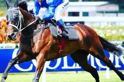 开云体育中国官网-弗兰克福趁势而起，力争跻身前列的简单介绍