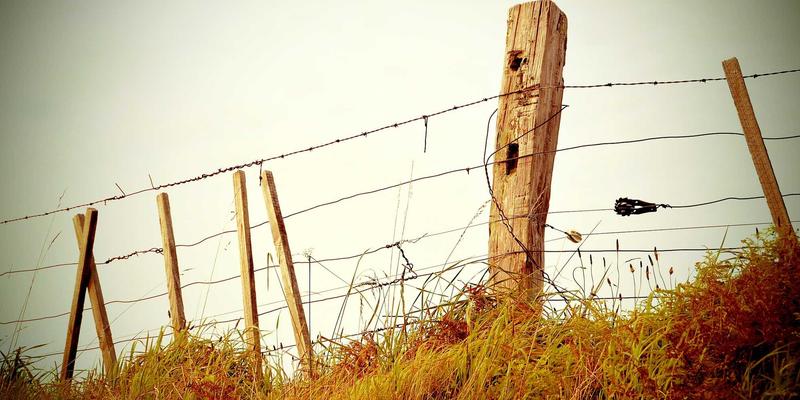 开云体育新闻资讯：英超联赛战报，曼城逆转利物浦精彩回顾
