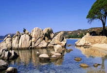 开云体育入口-游泳项目表现亮眼，冲刺冠军：背后的精彩瞬间与未来展望