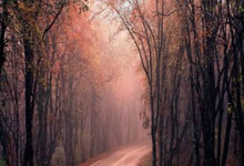 辽宁男篮成功击败山东队，取得两连胜