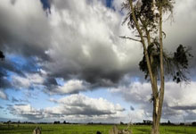 巴萨险胜国际米兰,惊心动魄晋级