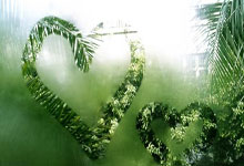 彼德遍伯理圣马克儿主场告捷,保级形务平稳备战新赛季