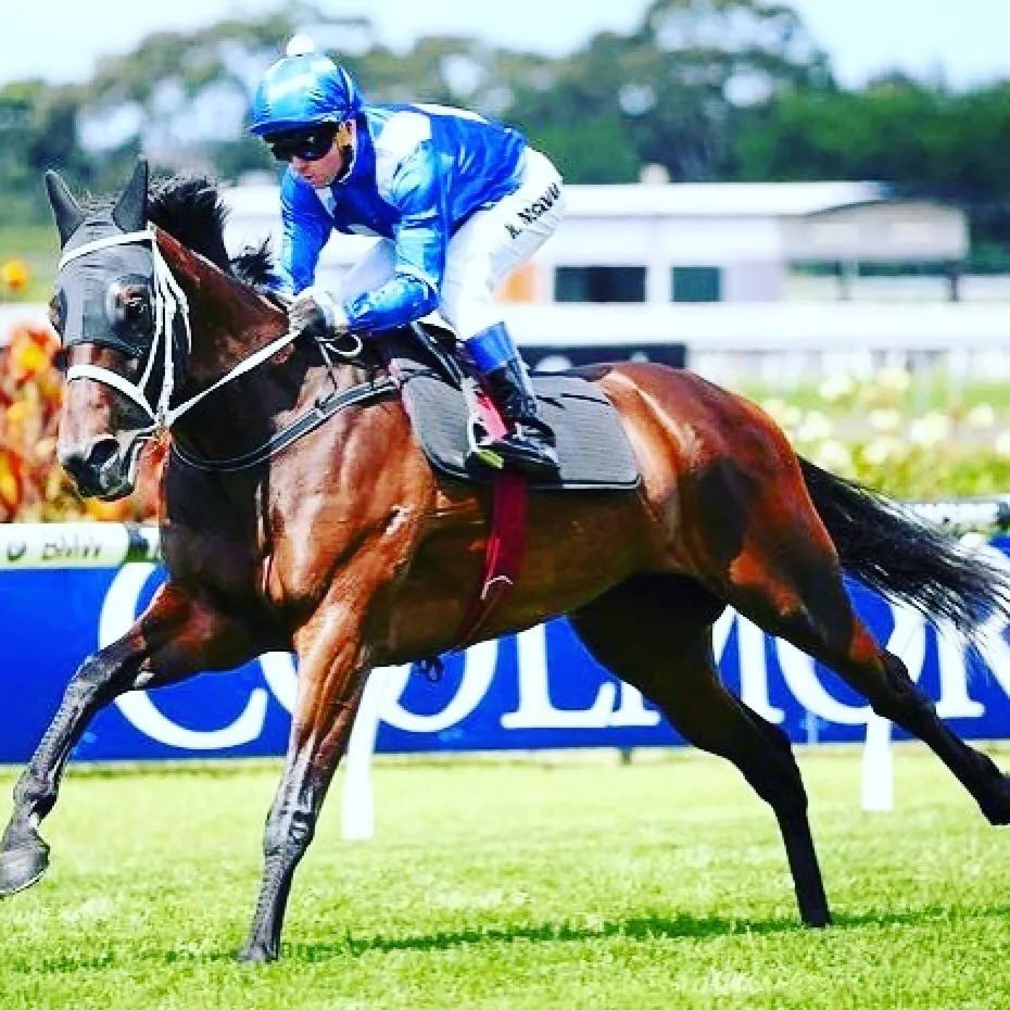 弗兰克福趁势而起，力争跻身前列的简单介绍